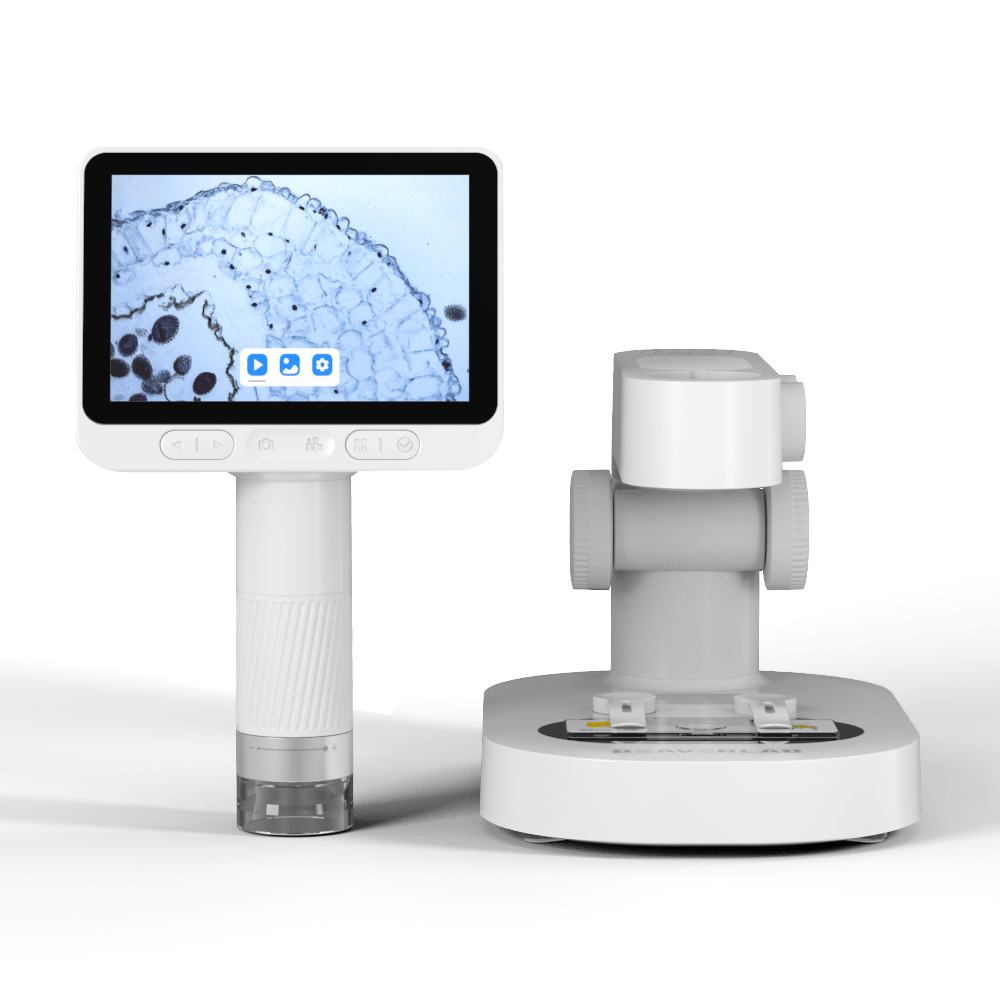 Darwin M2 Holder Stand | Microscope Base - BEAVERLAB